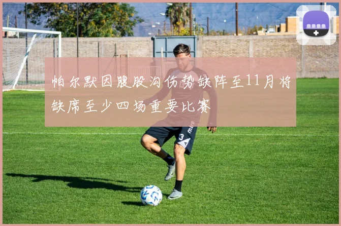 帕尔默因腹股沟伤势缺阵至11月将缺席至少四场重要比赛