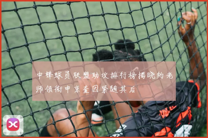 中锋球员联盟助攻排行榜揭晓约老师领衔申京奎因紧随其后