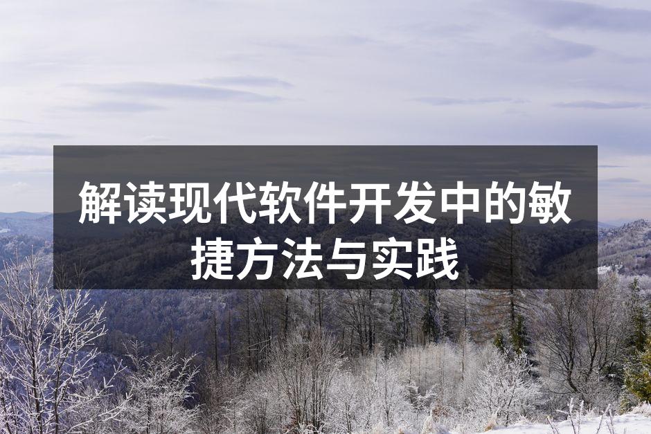 敏捷开发团队协作